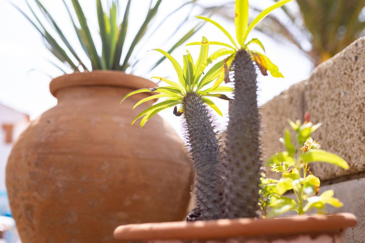 Casa Limon - Ocean View - Bbq - Garden - Terrace - Free Wifi - Child & Pet-Friendly - 2 Bedrooms - 6 People Poris de Abona Exteriör bild